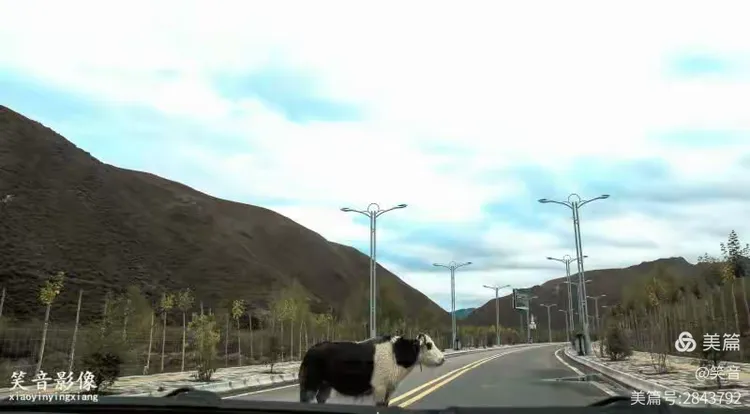 瑞典险胜奥地利，晋级之路充满艰辛