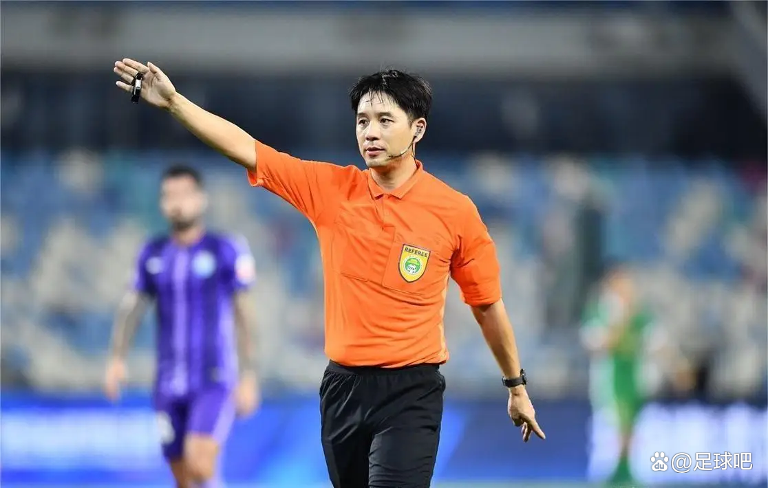 国内足球联赛独特魅力,裁判风波不停歇的简单介绍 国内足球联赛独特魅力,裁判风波不停歇的简单介绍