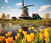 世俱杯-荷兰挑战瑞典队,争夺晋级席位的激动战役