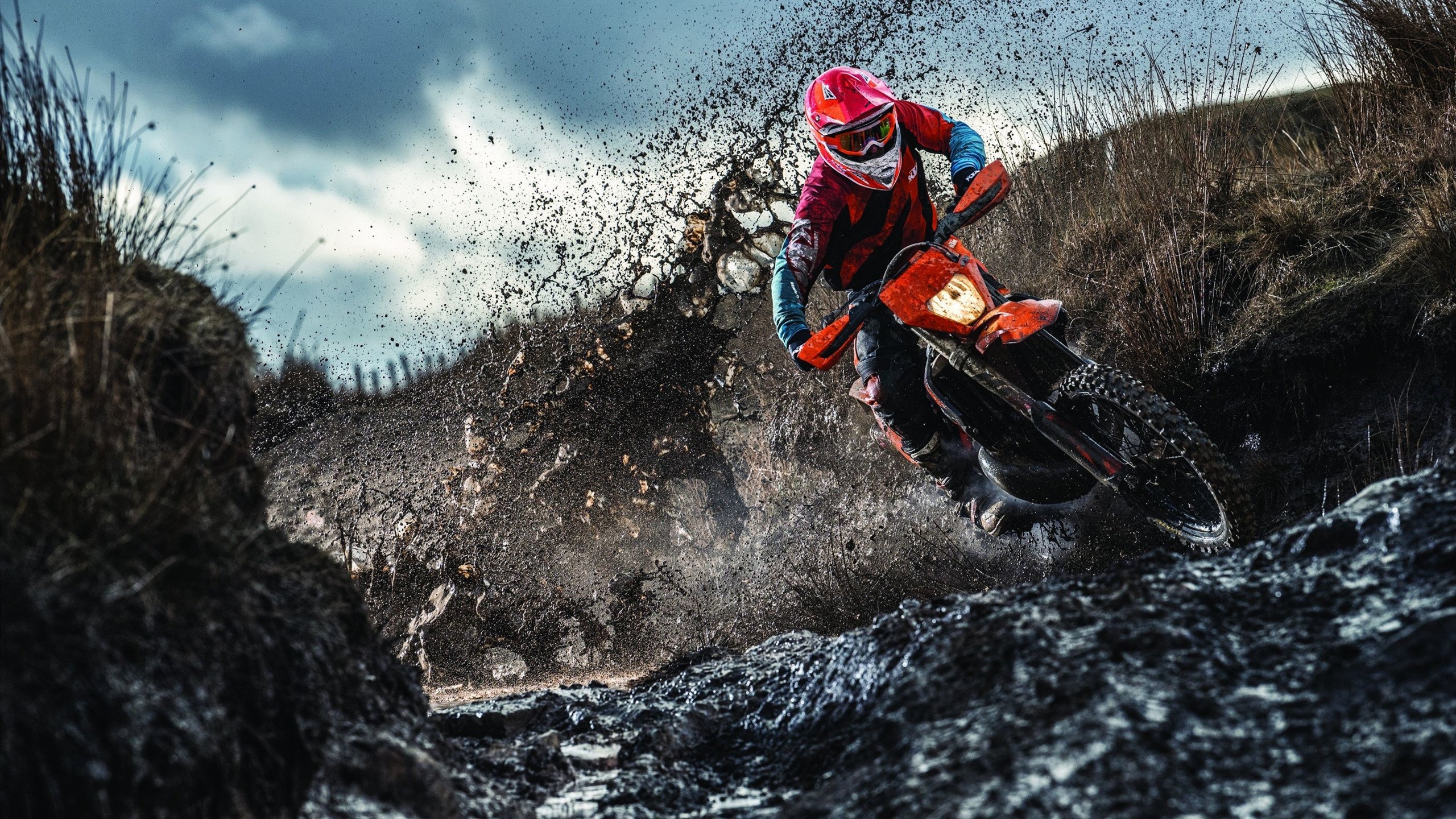 完胜与高光，东京奥运赛场上的两重奏